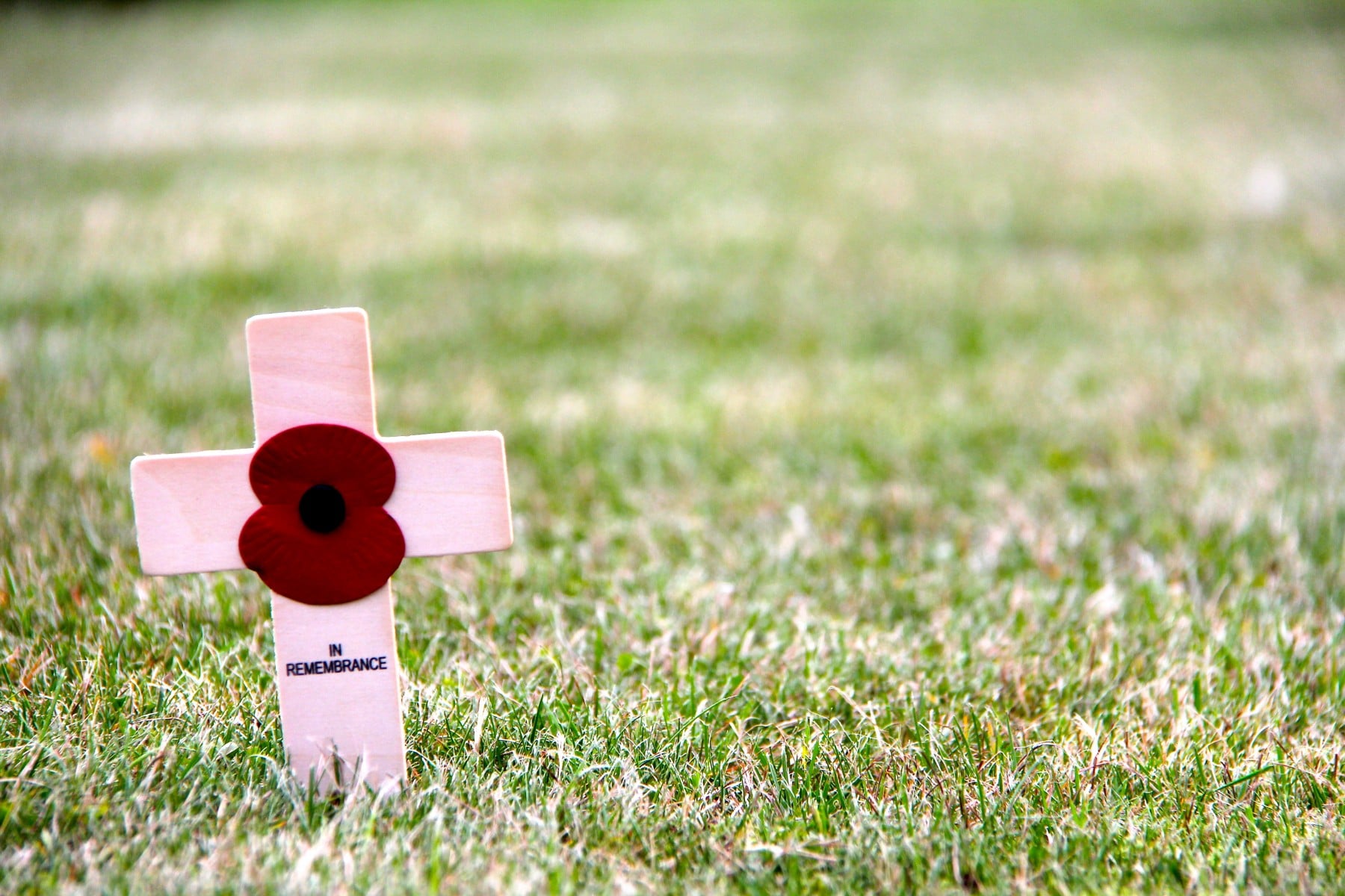 A poppy is on a cross which says 'In remembrance'.