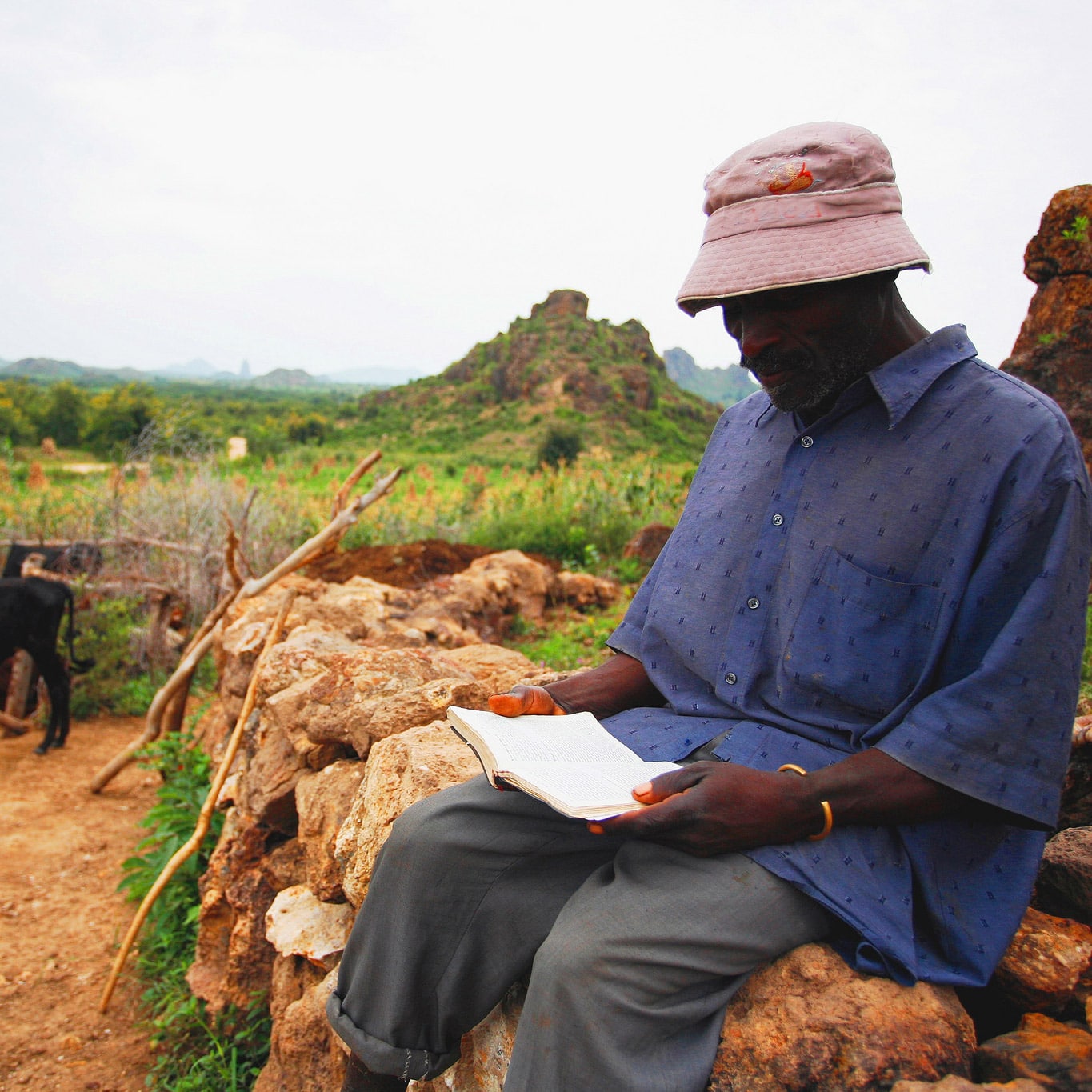A shepherd in Cameroon reads his Bible